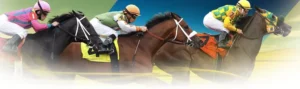Trải Nghiệm Cá Cược Đua Ngựa 89Bet Kịch Tính Với Tỷ Lệ Trả Thưởng Cao