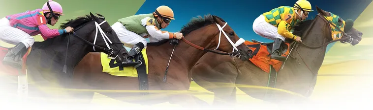 Trải Nghiệm Cá Cược Đua Ngựa 89Bet Kịch Tính Với Tỷ Lệ Trả Thưởng Cao